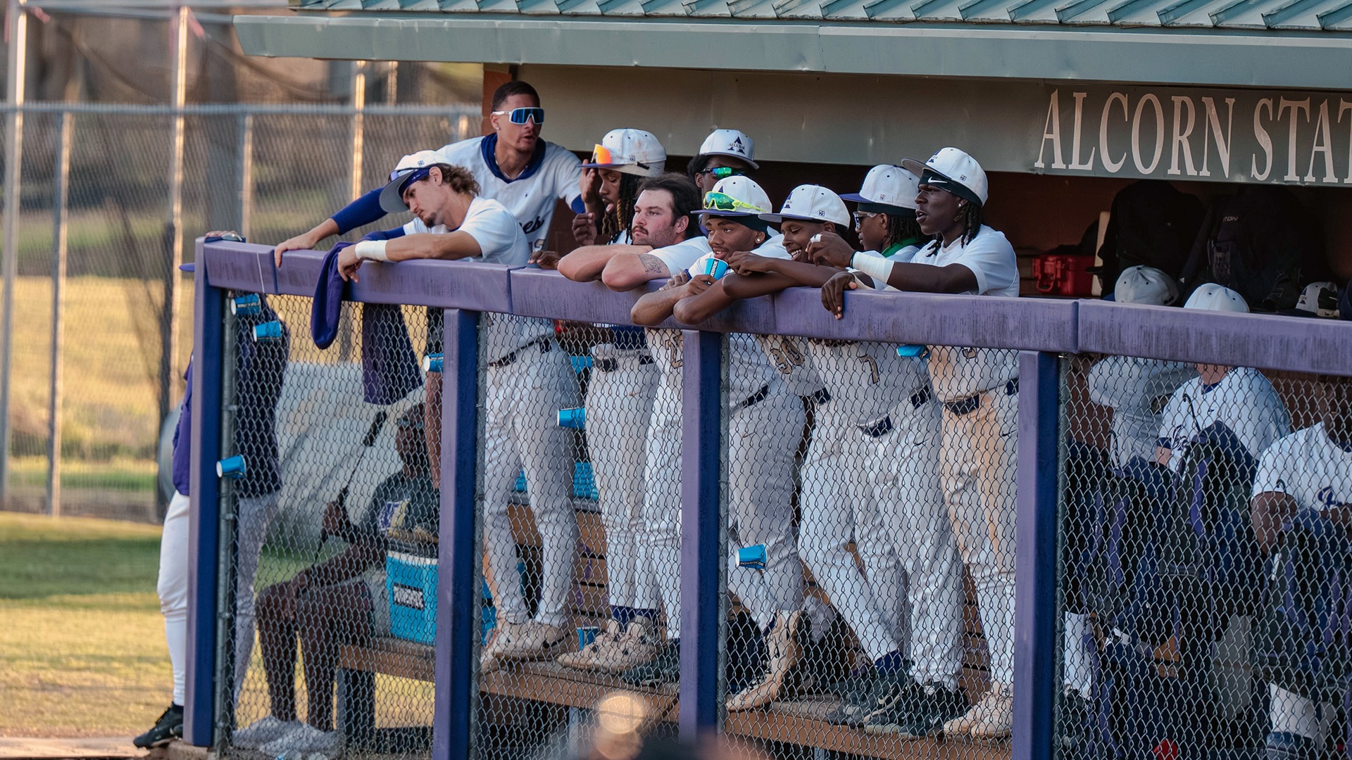 Alcorn Baseball on Dugout Fence