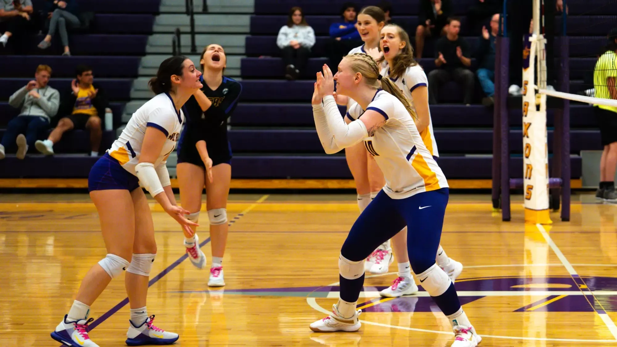 Delaney Sims, Carleigh Santavy