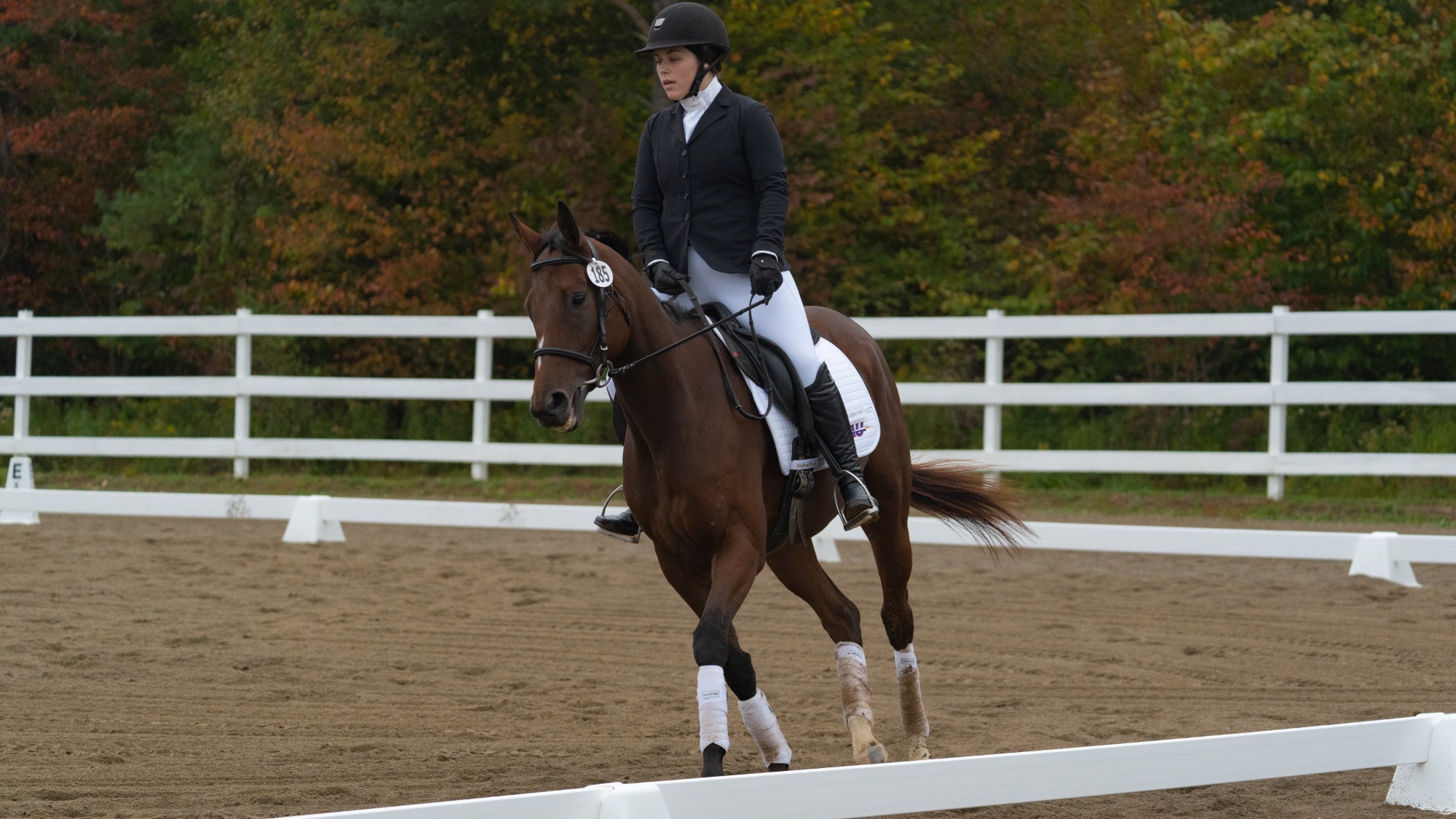Ryann McElroy