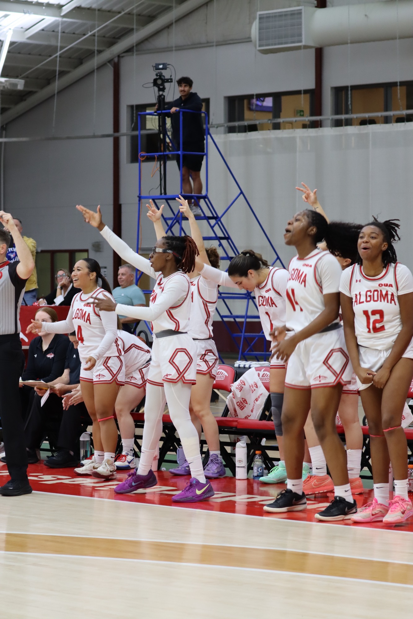 Preseason WBB