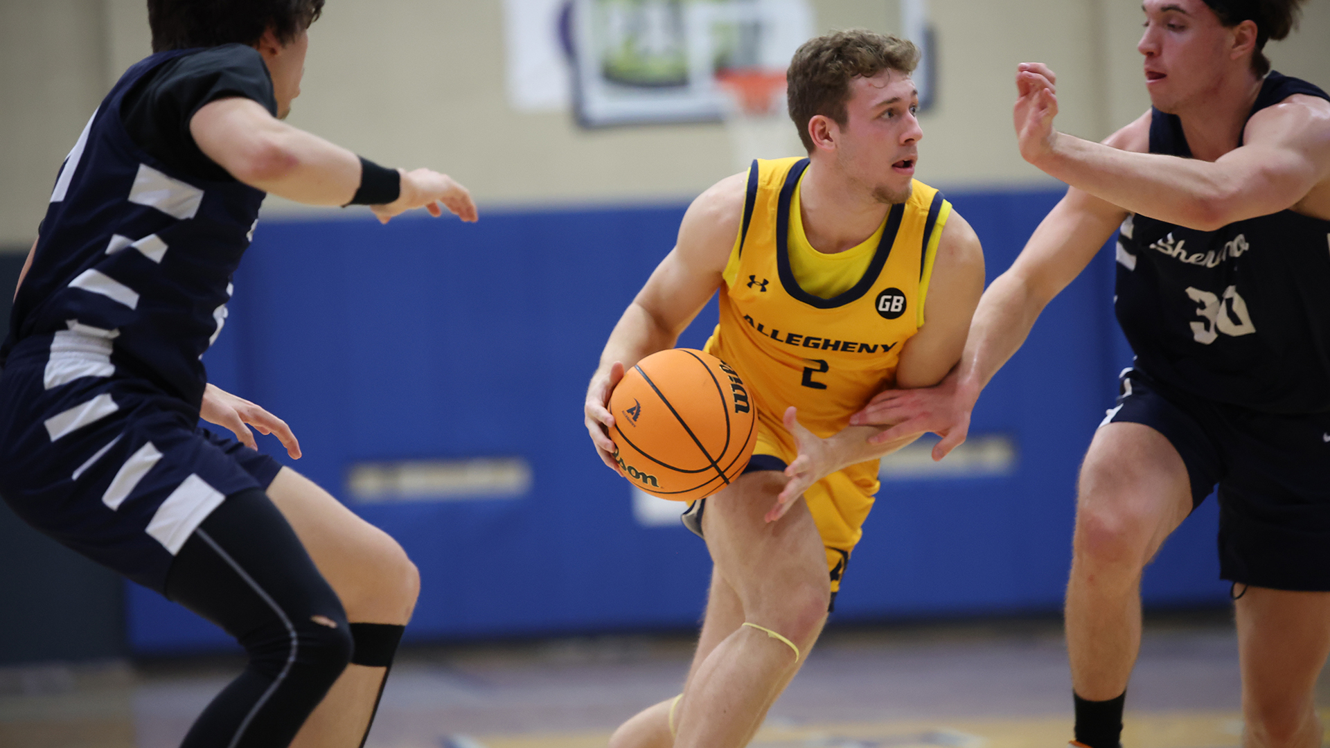 Ryan Lang Men's Basketball Allegheny College Athletics