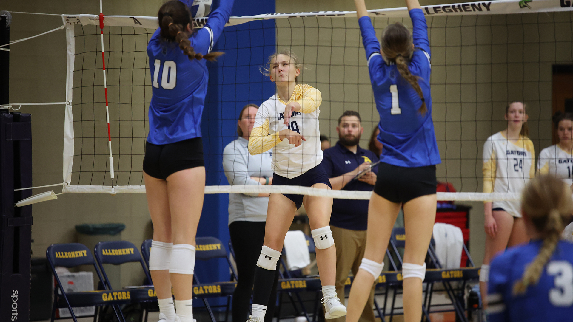 Carly Beers Women's Volleyball Allegheny College Athletics