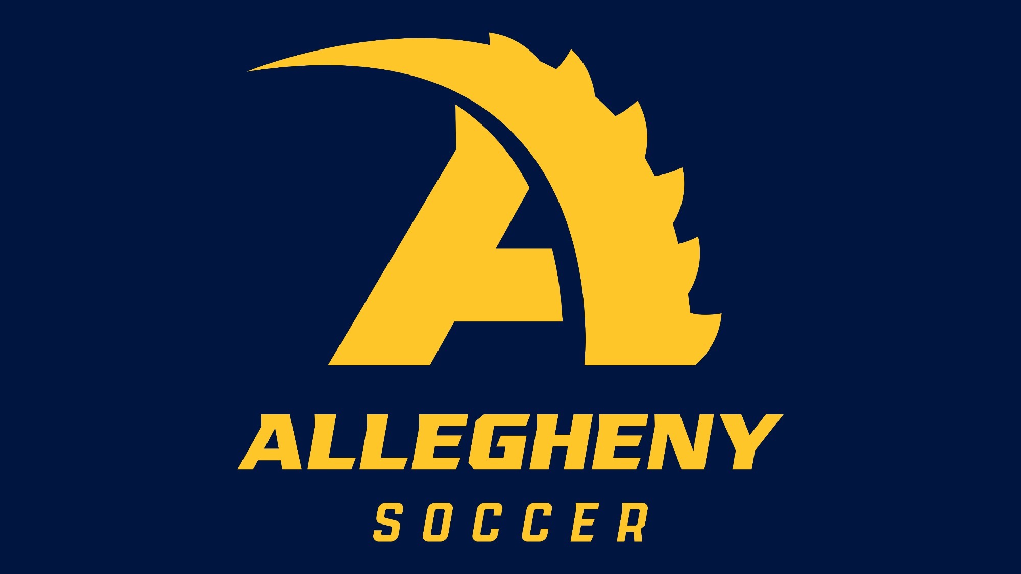 Soccer Logo