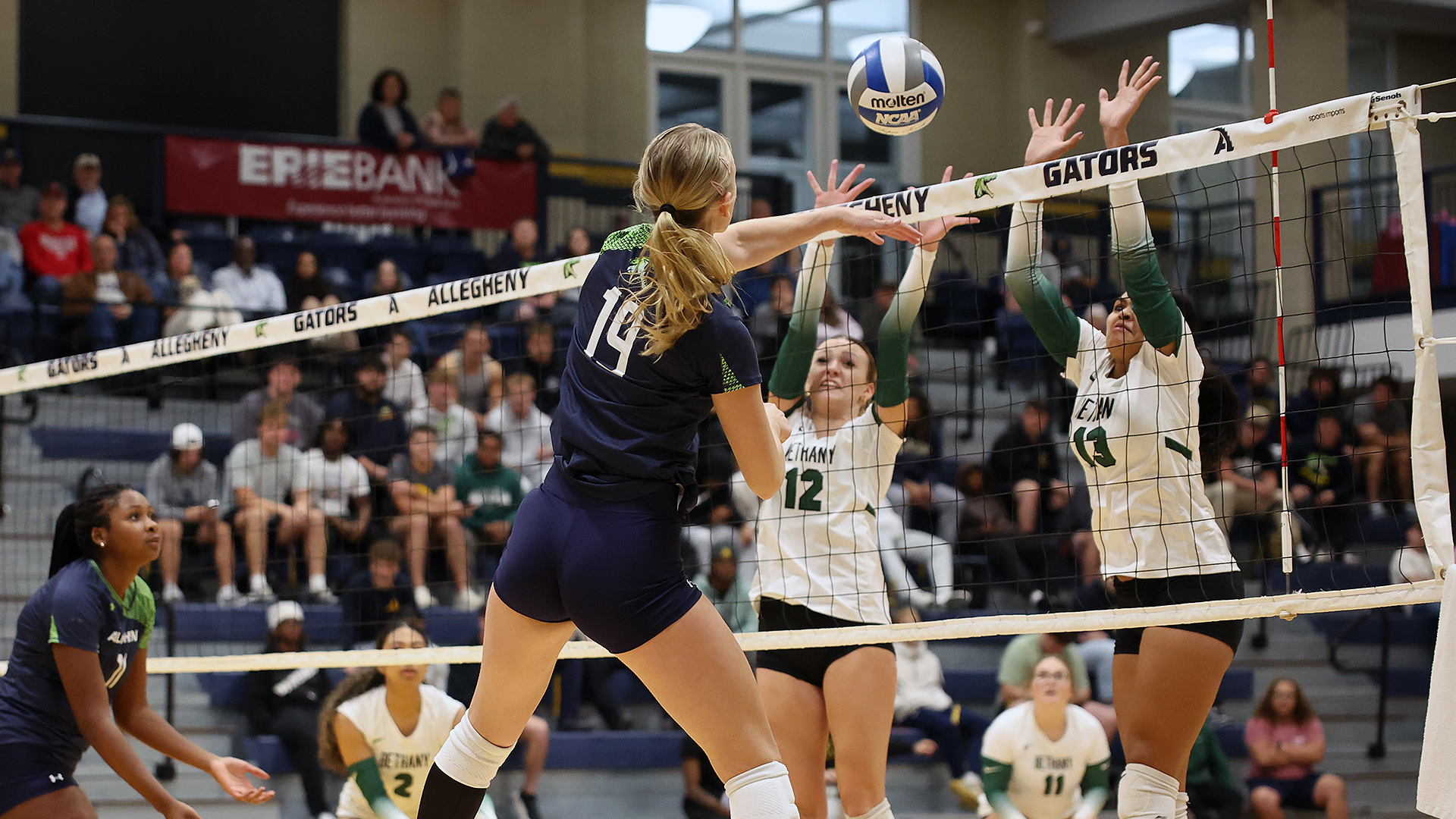 Allegheny College volleyball vs. Bethany, Oct. 10, 2025. Photo by Ed Mailliard.