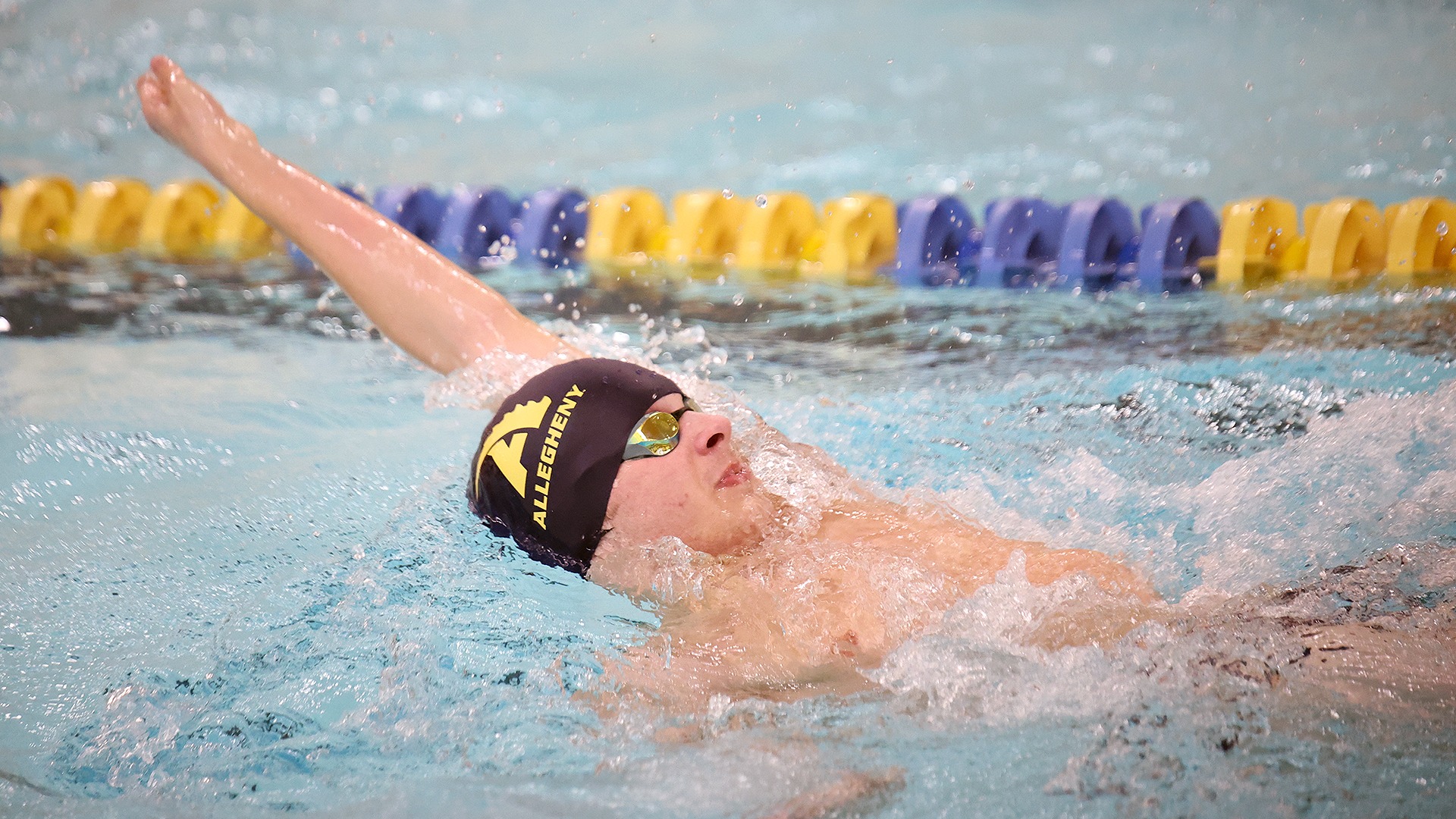 Men's swimming in action against Westminster