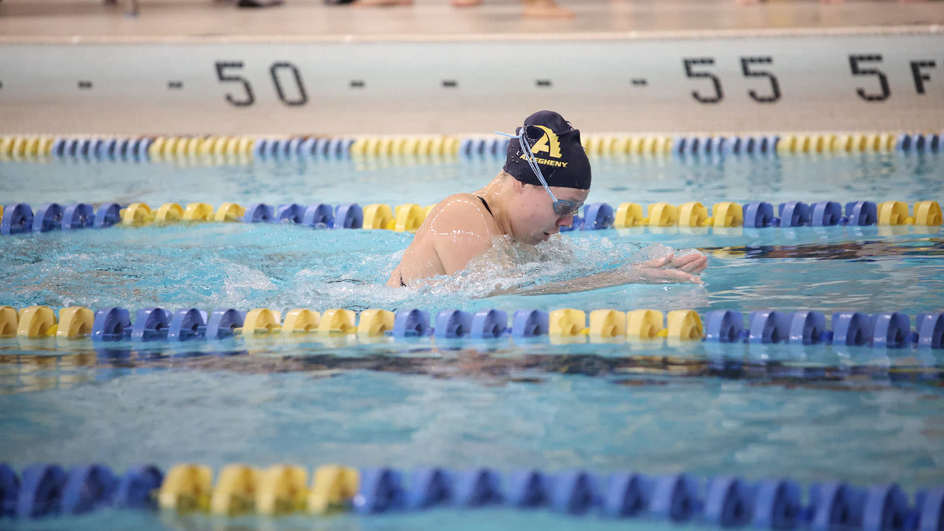 Allegheny College M/W swimming vs. Westminster, Nov. 1, 2025. Photo by Ed Mailliard.