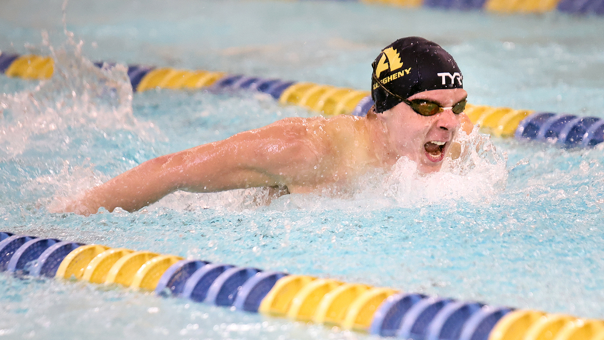 Allegheny College M/W swimming vs. Westminster, Nov. 1, 2025. Photo by Ed Mailliard.