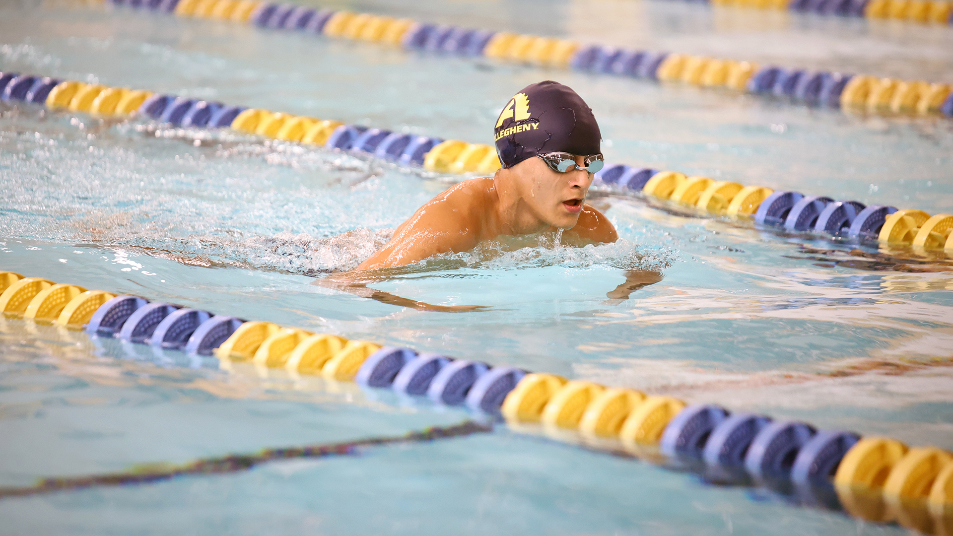 Allegheny College M/W swimming vs. Westminster, Nov. 1, 2025. Photo by Ed Mailliard.