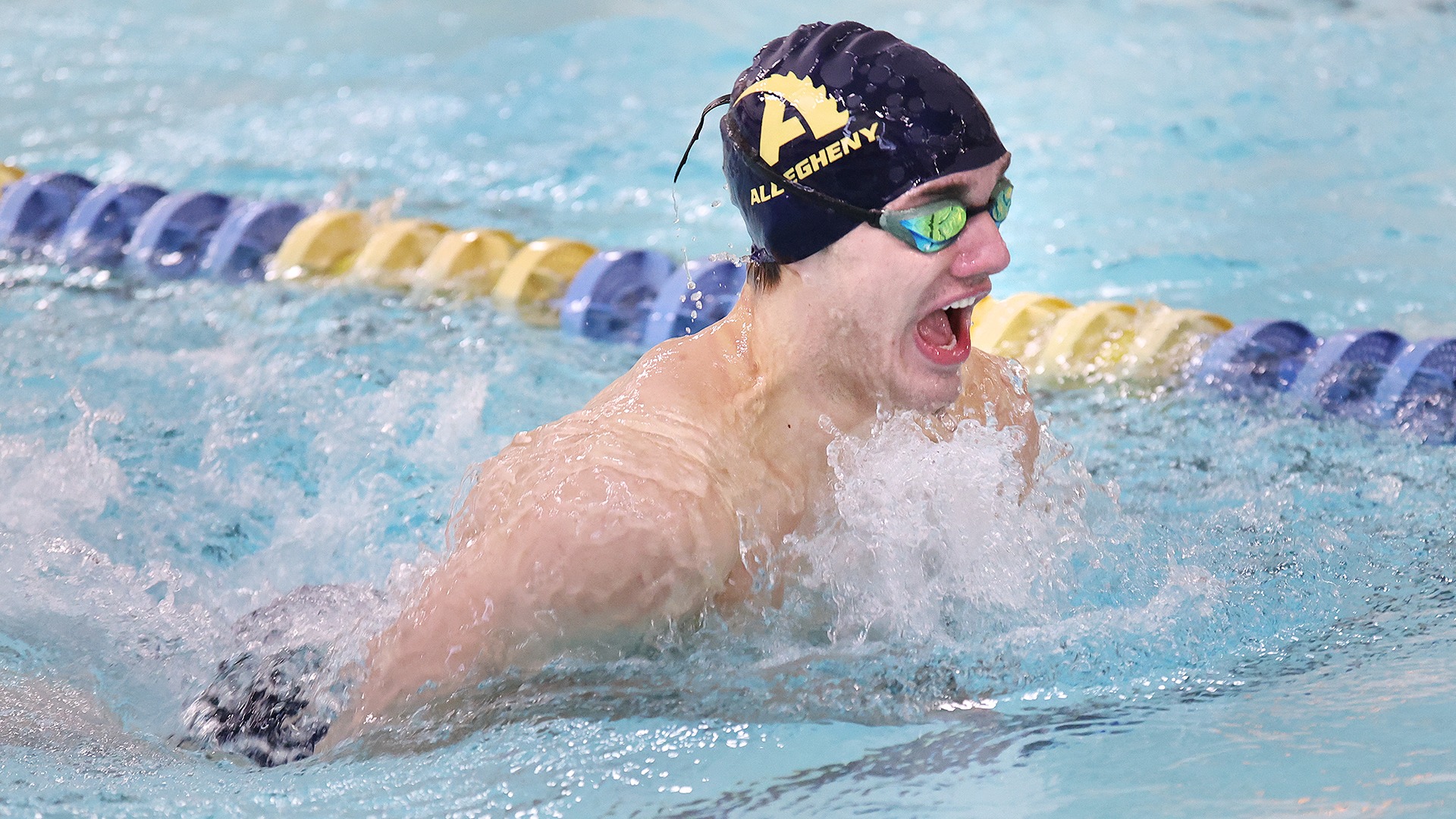 Men's Swimming competes against Penn State Behrend