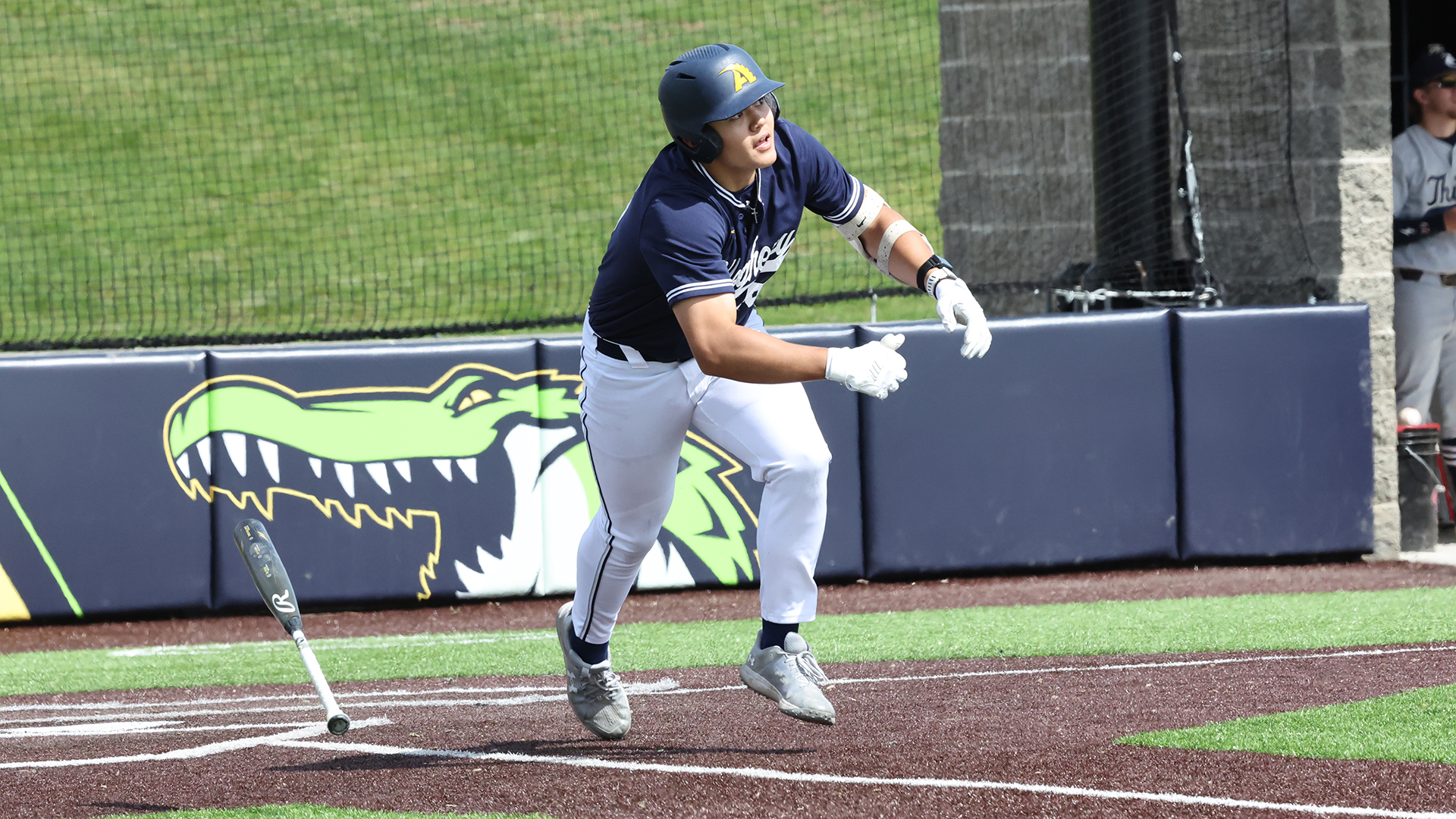 Allegheny College baseball vs. Thiel, 4-4-25. Photo by Ed Mailliard.