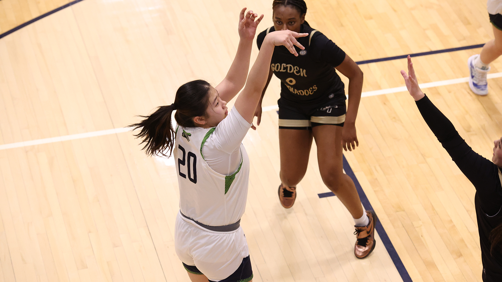 Allegheny College women’s basketball vs. Geneva College on Faculty Appreciation Night, Jan. 28, 2026. Photo by Ed Mailliard.