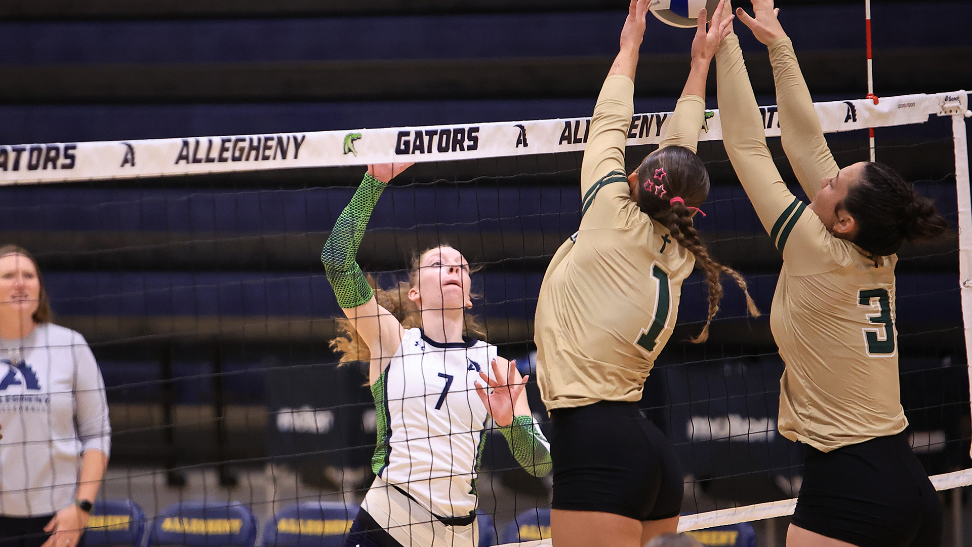 Allegheny College volleyball vs. Franciscan, Oct. 2, 2026. Photo by Ed Mailliard.