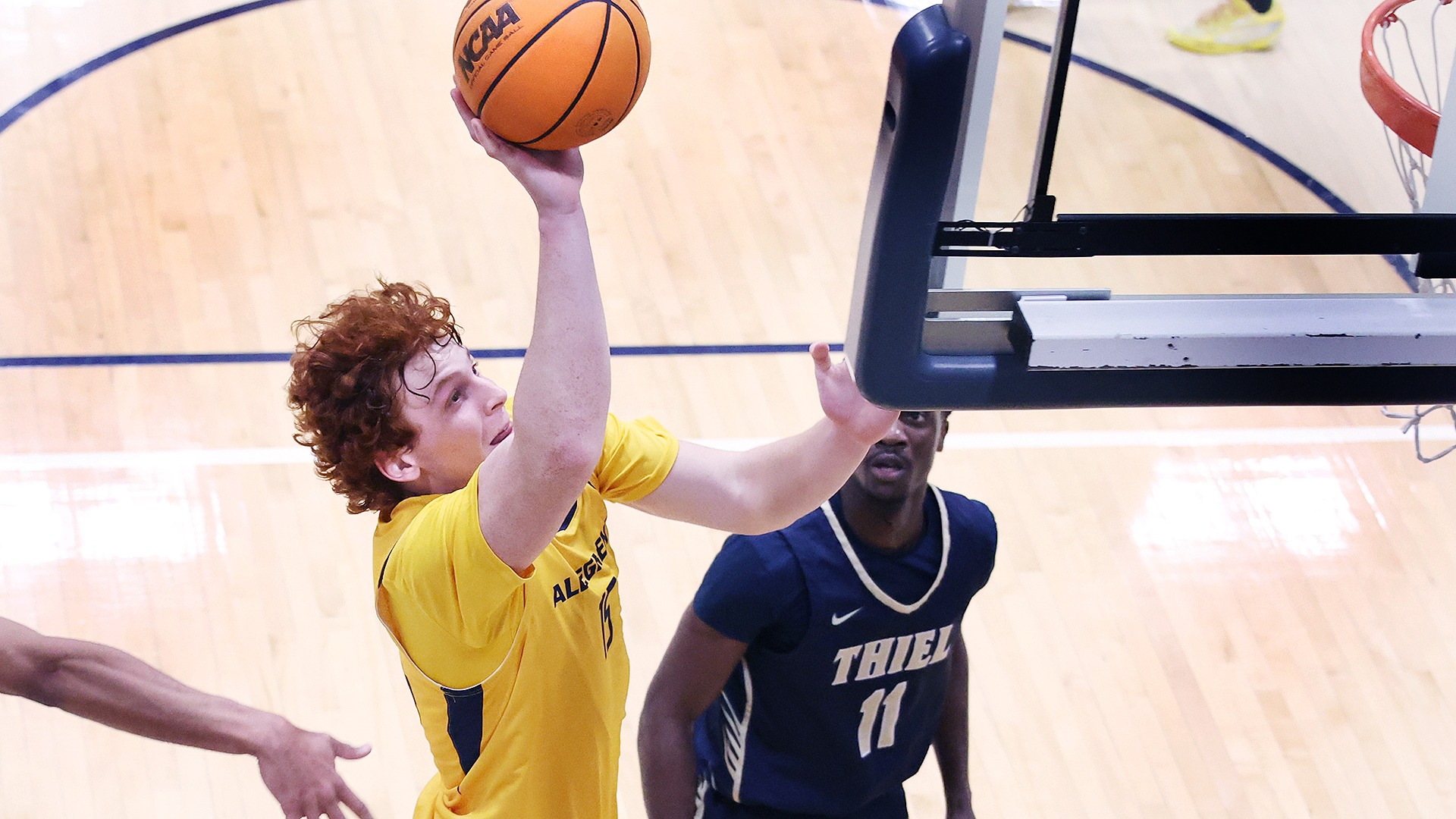 Max Wallace vs. Thiel