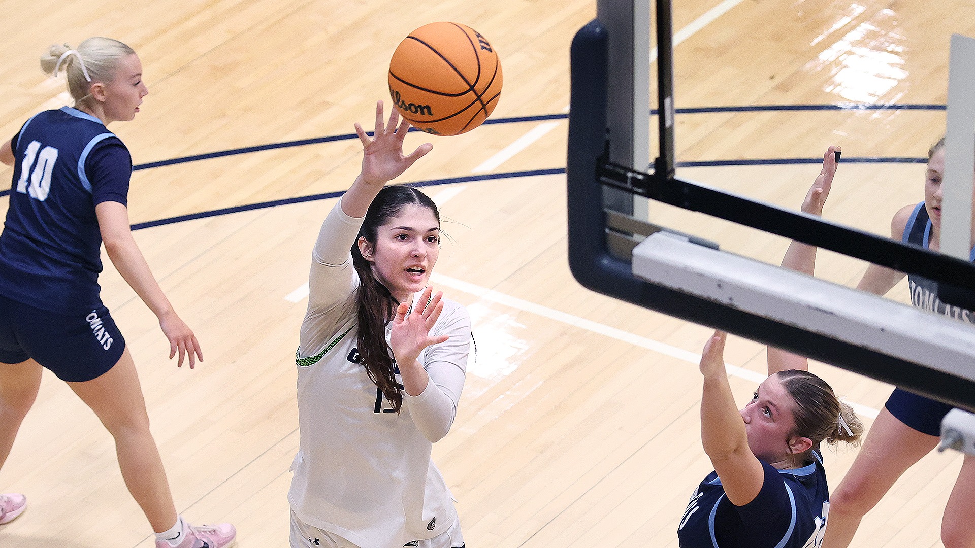 Sarah Santicola vs. Thiel