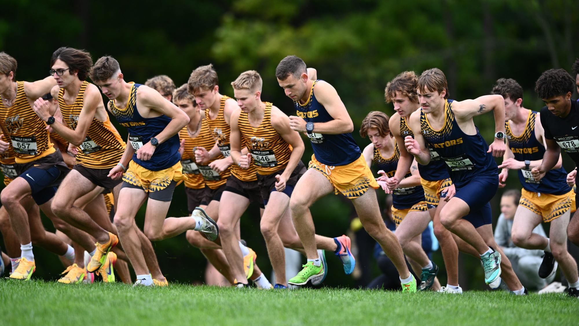 Men's cross country at Ben Mourer '07 Memorial Classic, Sept. 19, 2026. Photo by Robert Hayes.