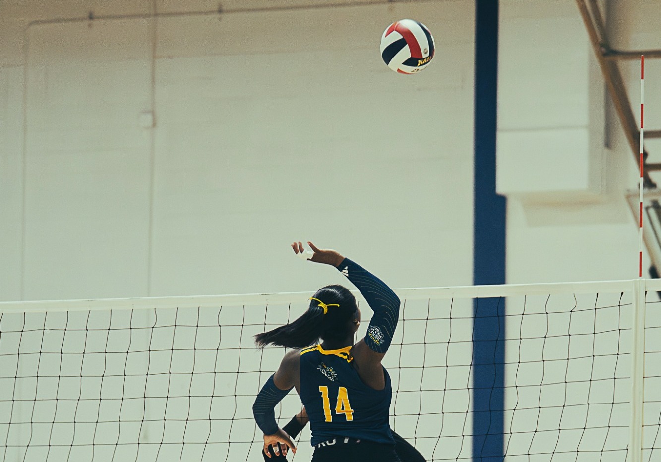 Andrew Volleyball vs. TCF