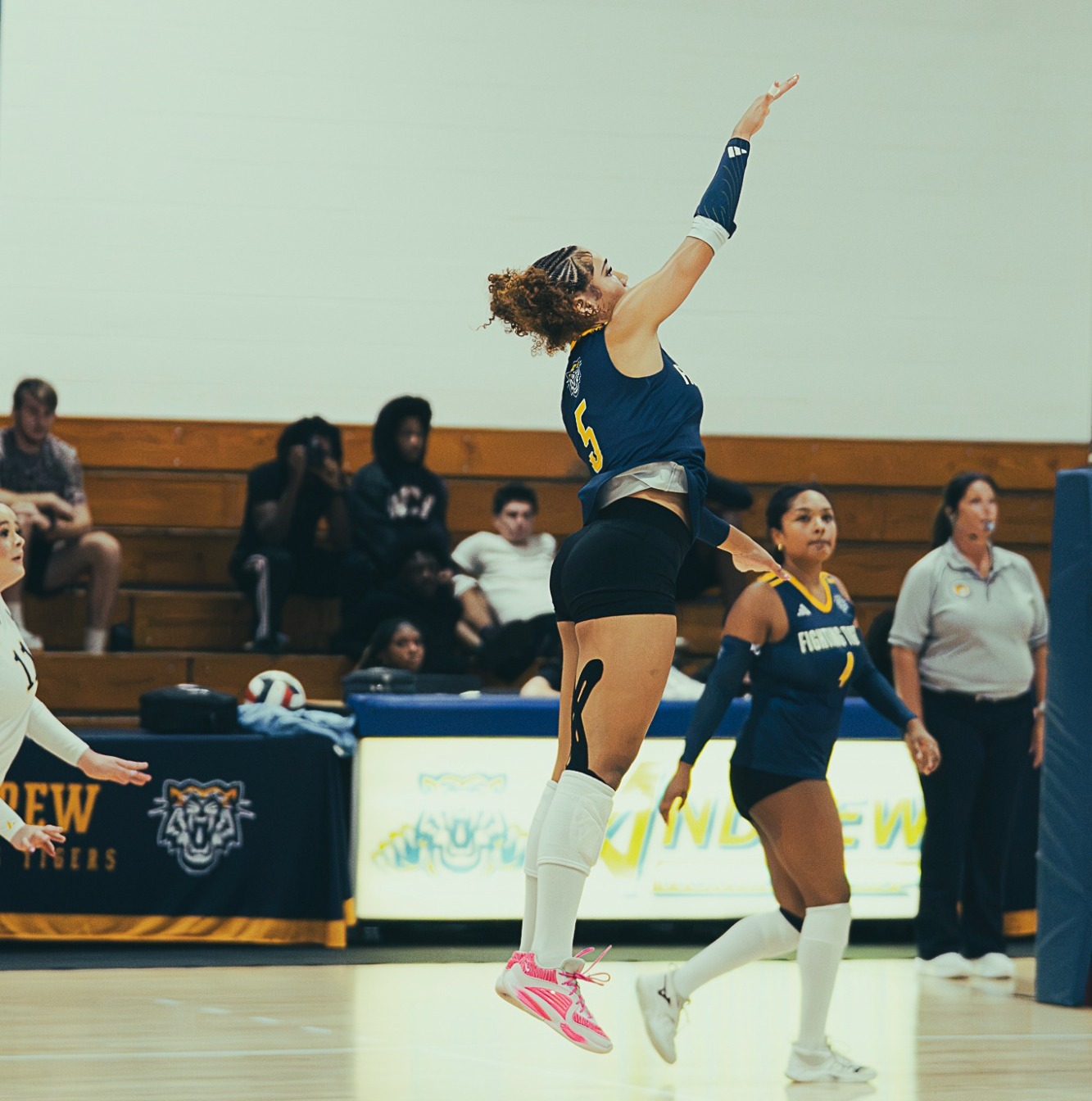 Andrew College Volleyball