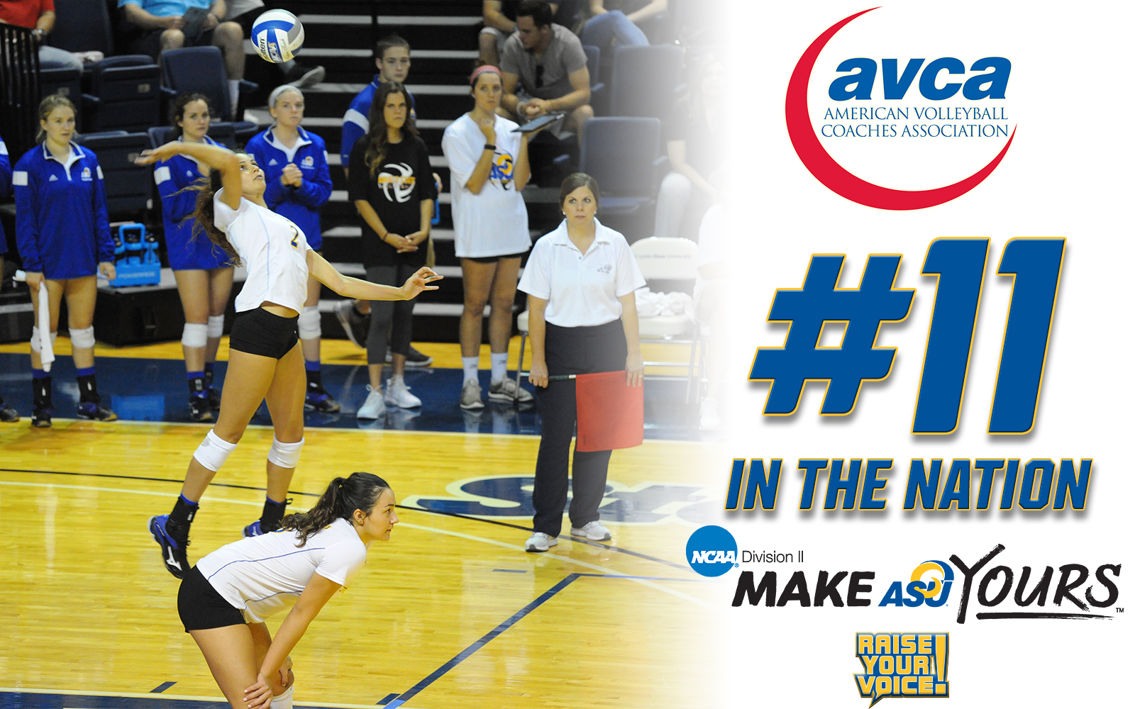 ASU Volleyball Elevates to No. 11 in AVCA Rankings Angelo State