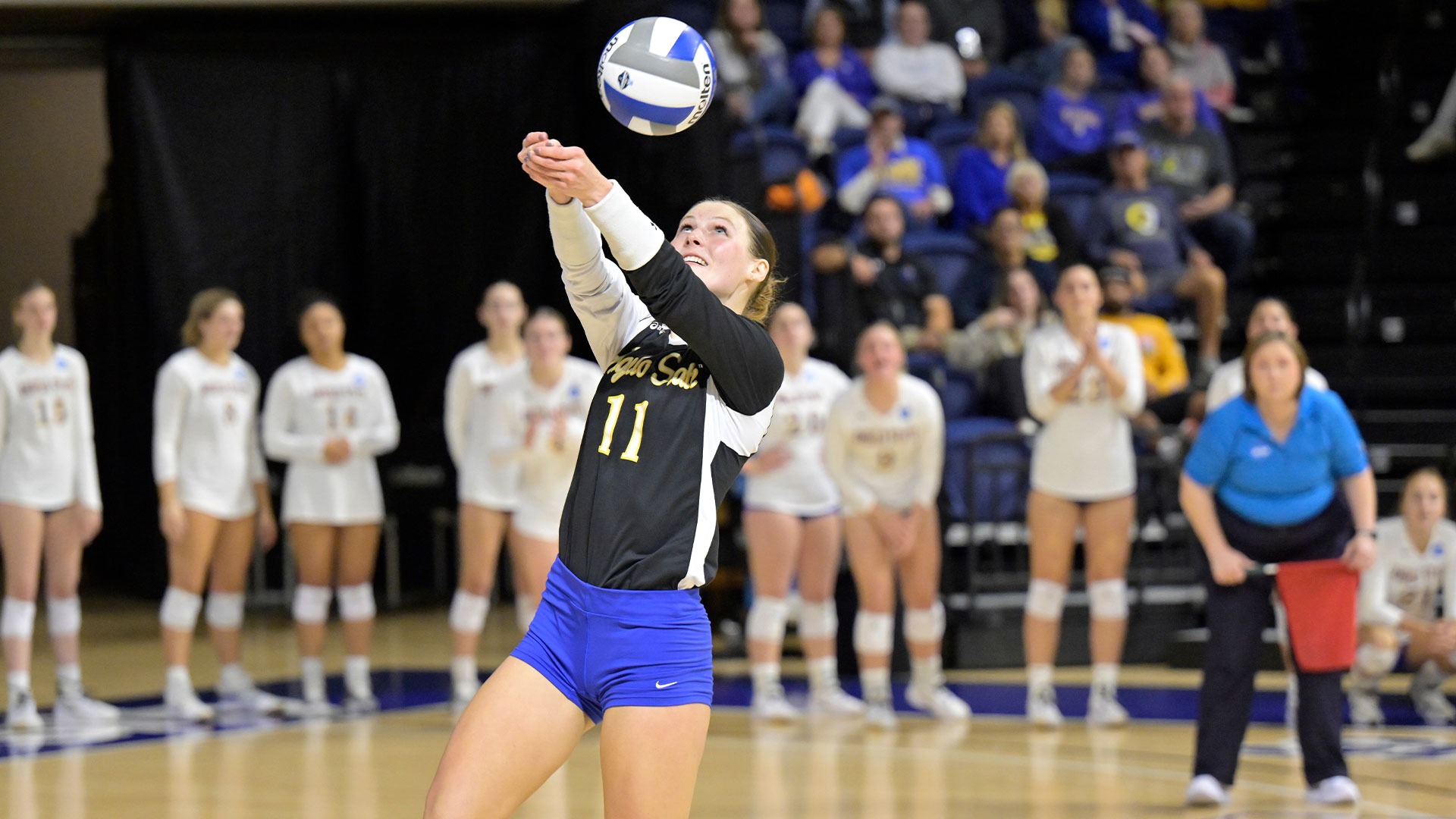 Caleigh Enax digs a ball vs. MSU Denver