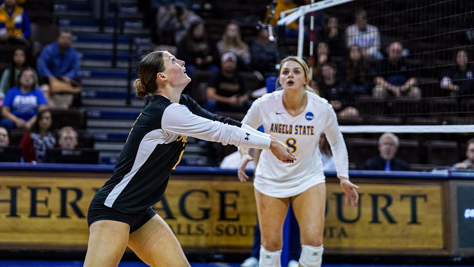 Caleigh Enax digs a ball vs. SFSU