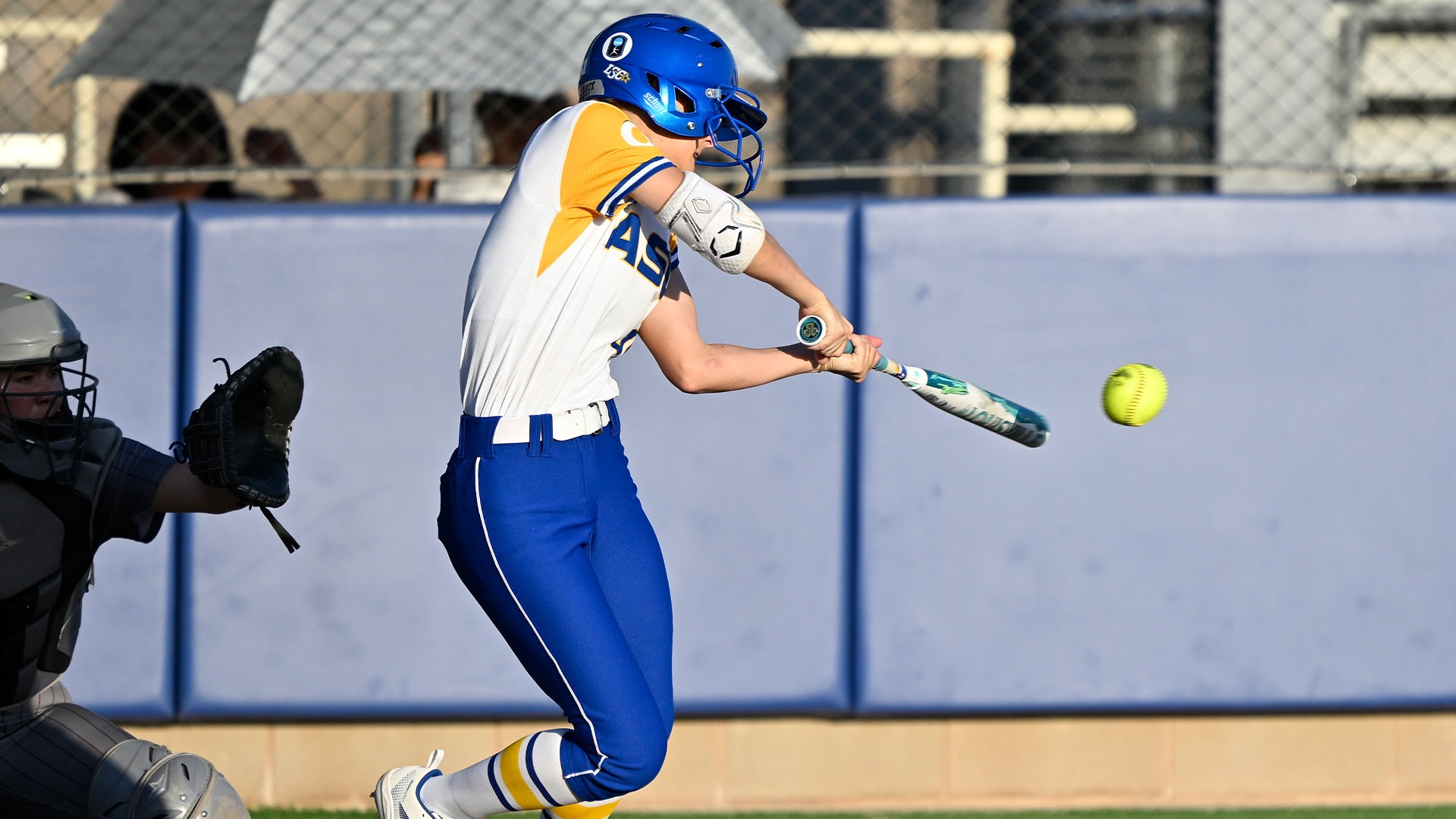 Kamryn Loeffler vs. TAMIU