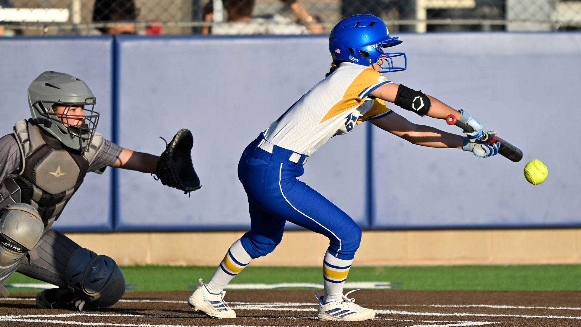 Karli Manney vs. TAMIU