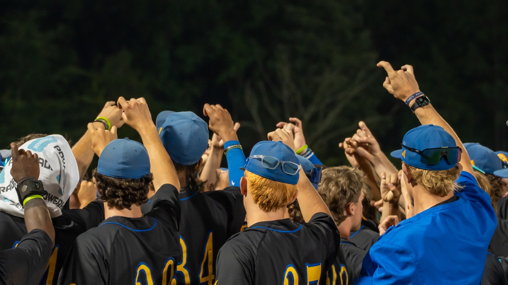 Huddle Ram Horns