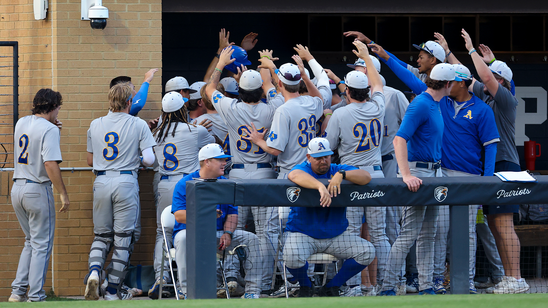 Dugout Celebration