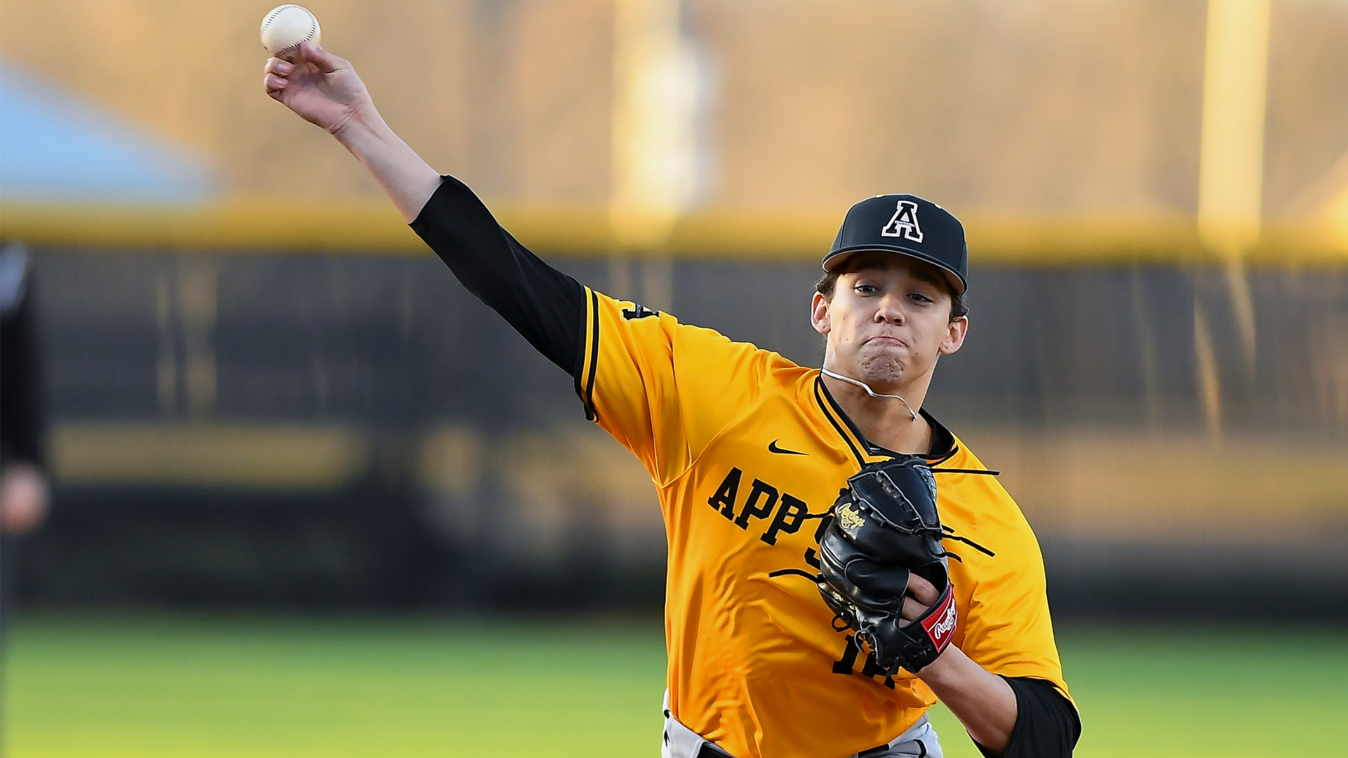Noah Hall Baseball App State Athletics