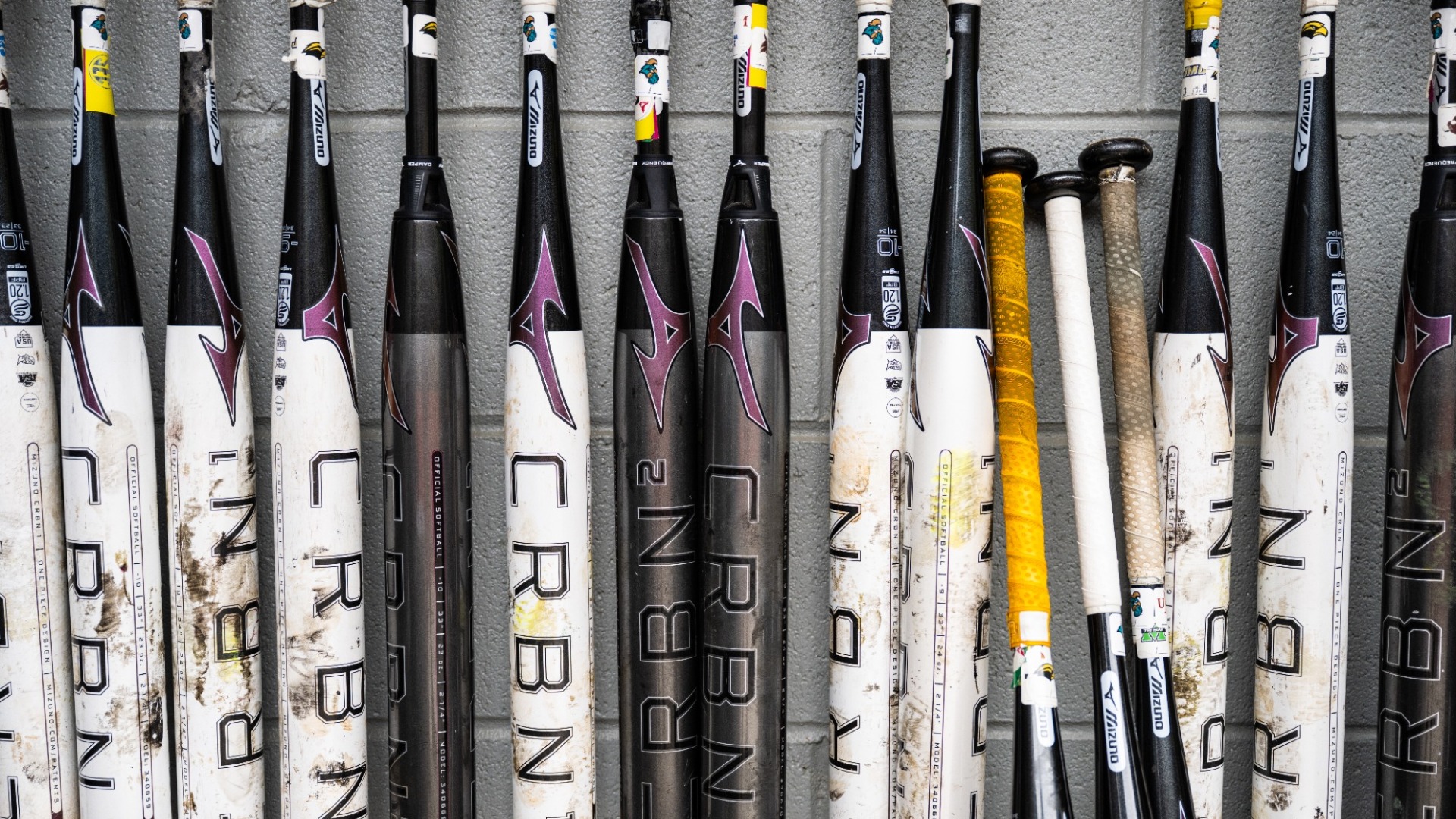 Softball Generic Shot