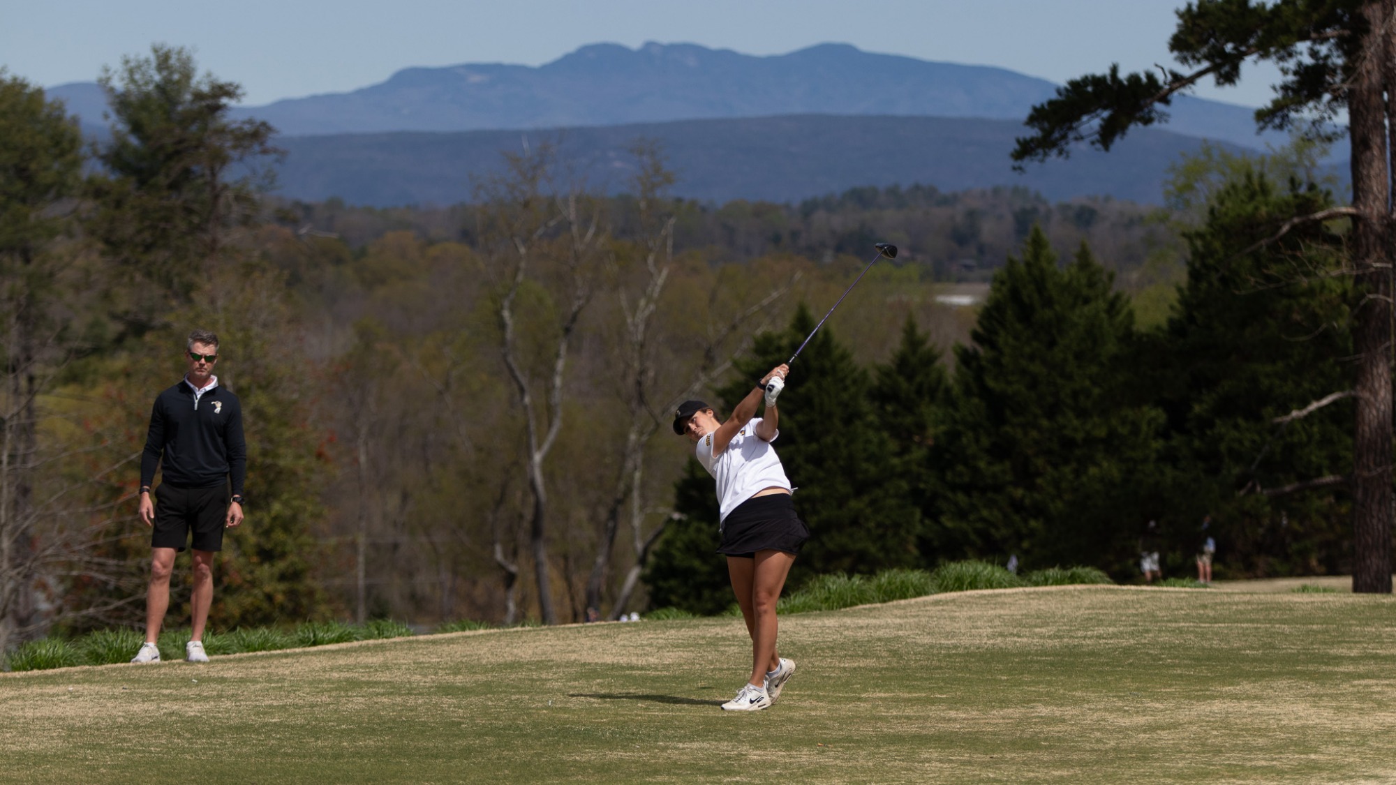 Salem Lee Mimosa Hills