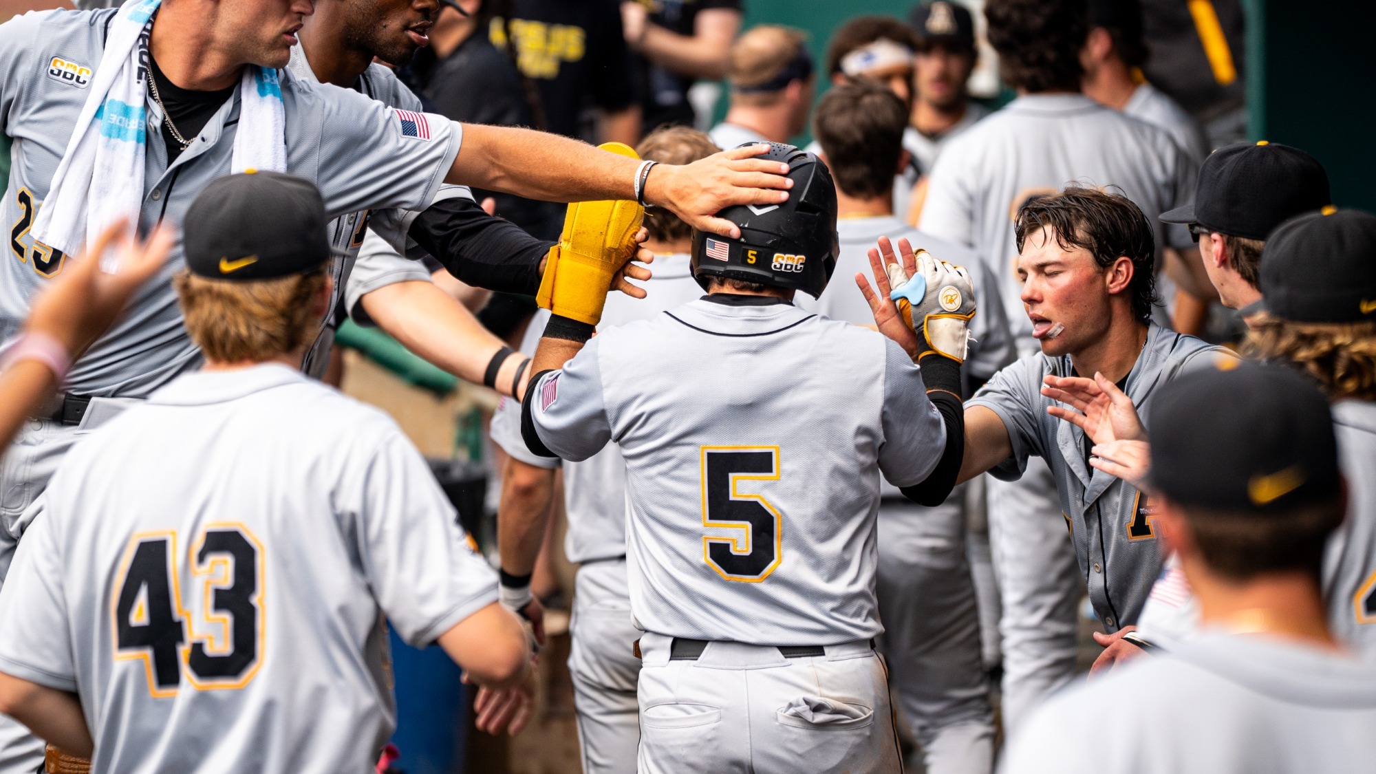 Baseball Celebration