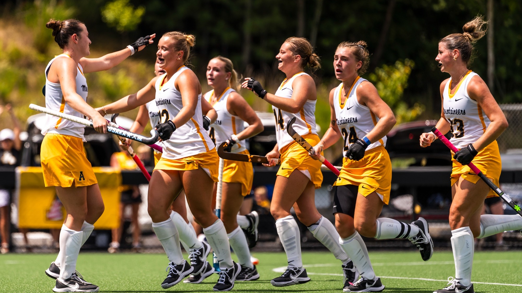 FH Celebration