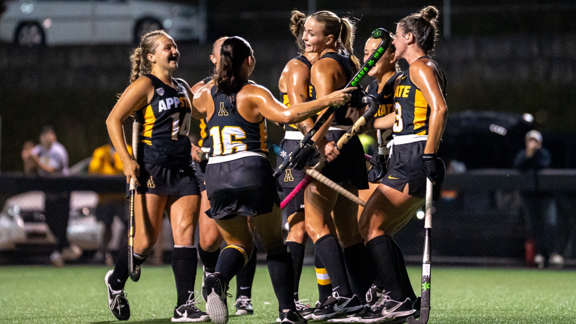 FH Goal Celebration