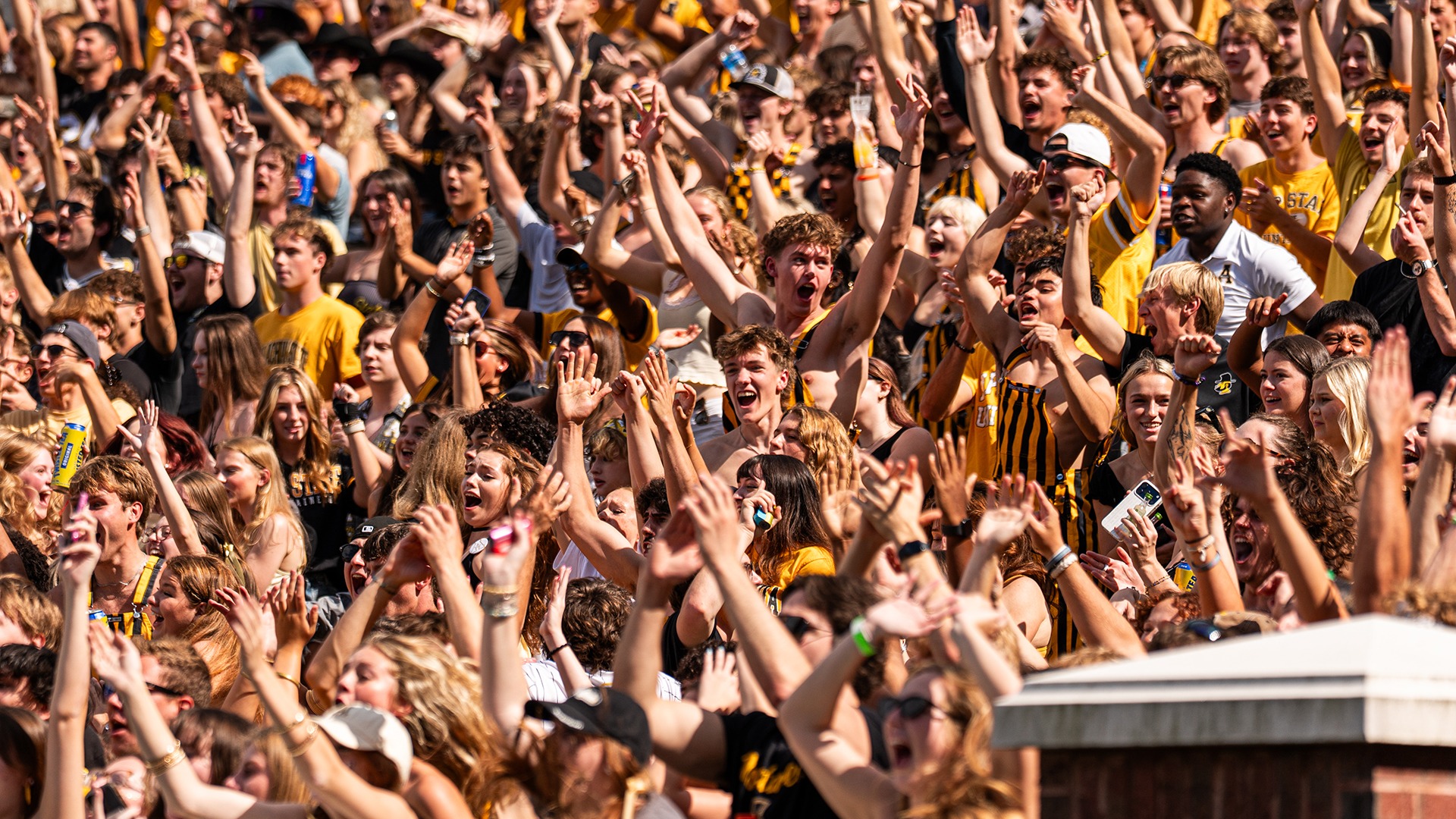 Fans crowd