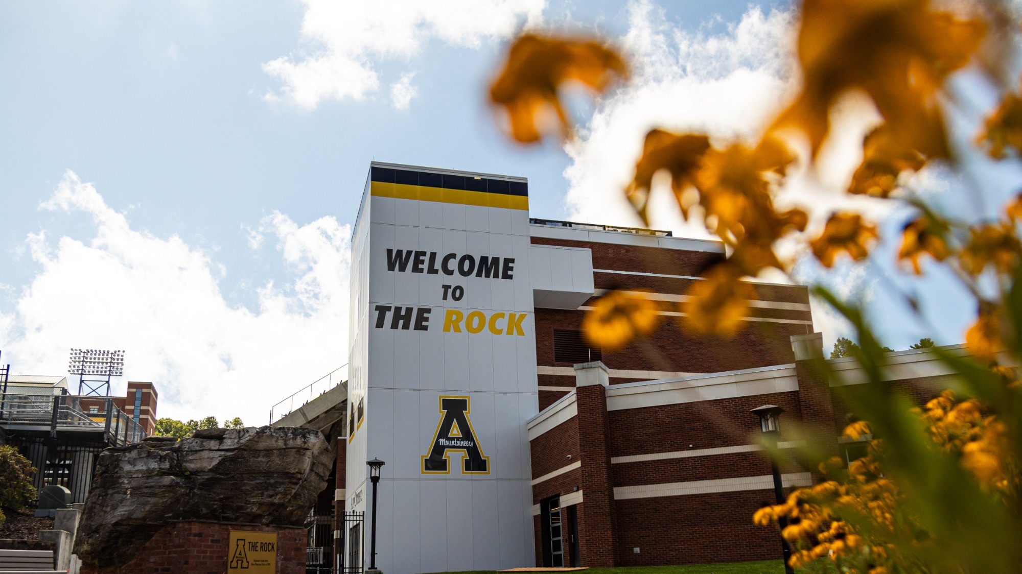 Kidd Brewer Stadium fall leaves