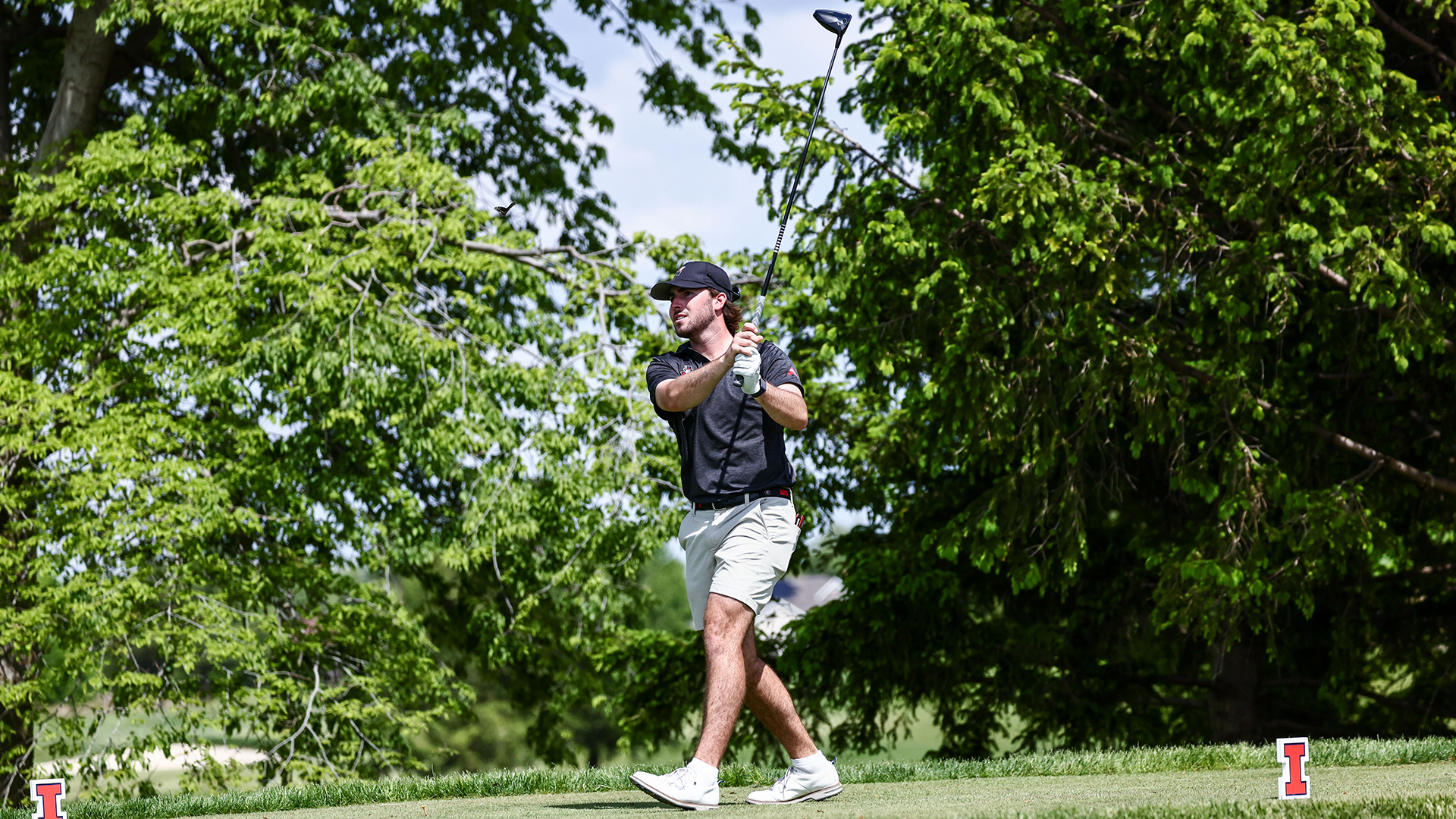 Austin Peay men’s golf Patton Samuels shot an even-par 71 and is tied for 19th place after the opening round of the NCAA Urbana Regional, Monday, at Atkins Golf Club in Urbana, Illinois.
