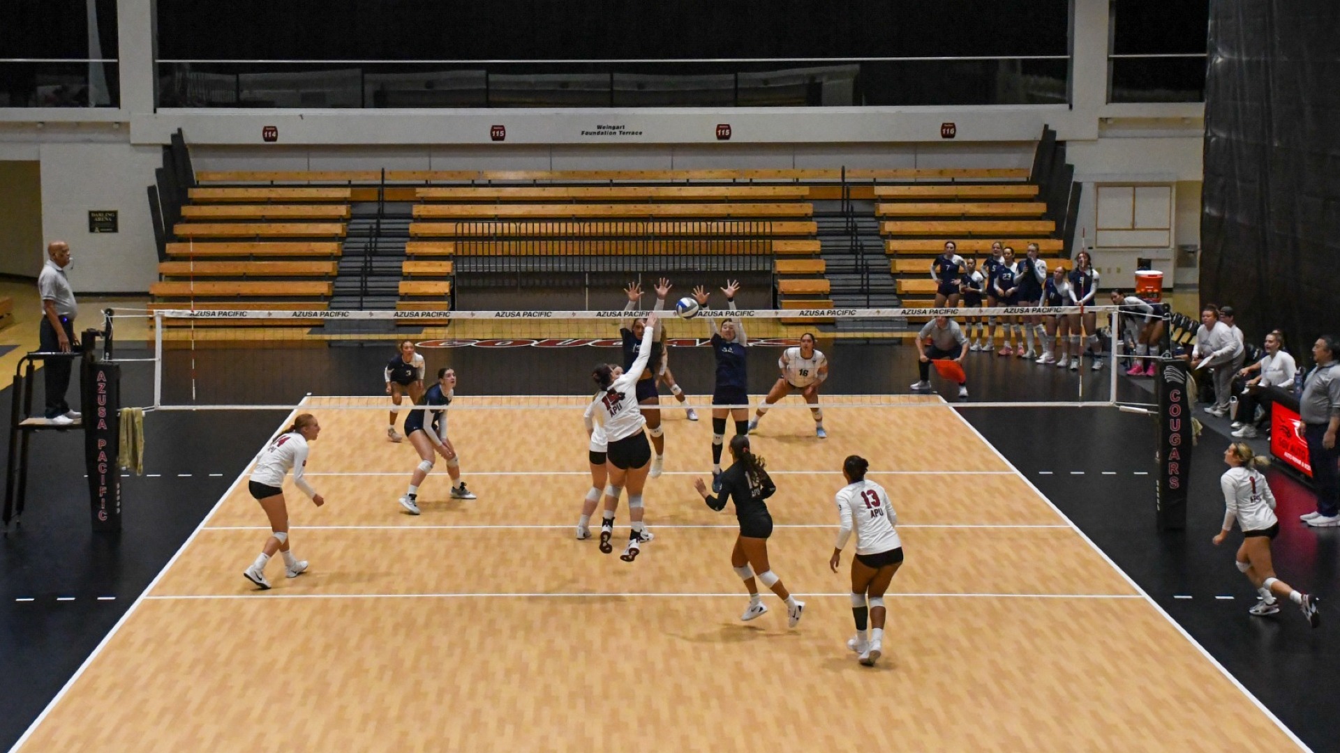 Vball Team