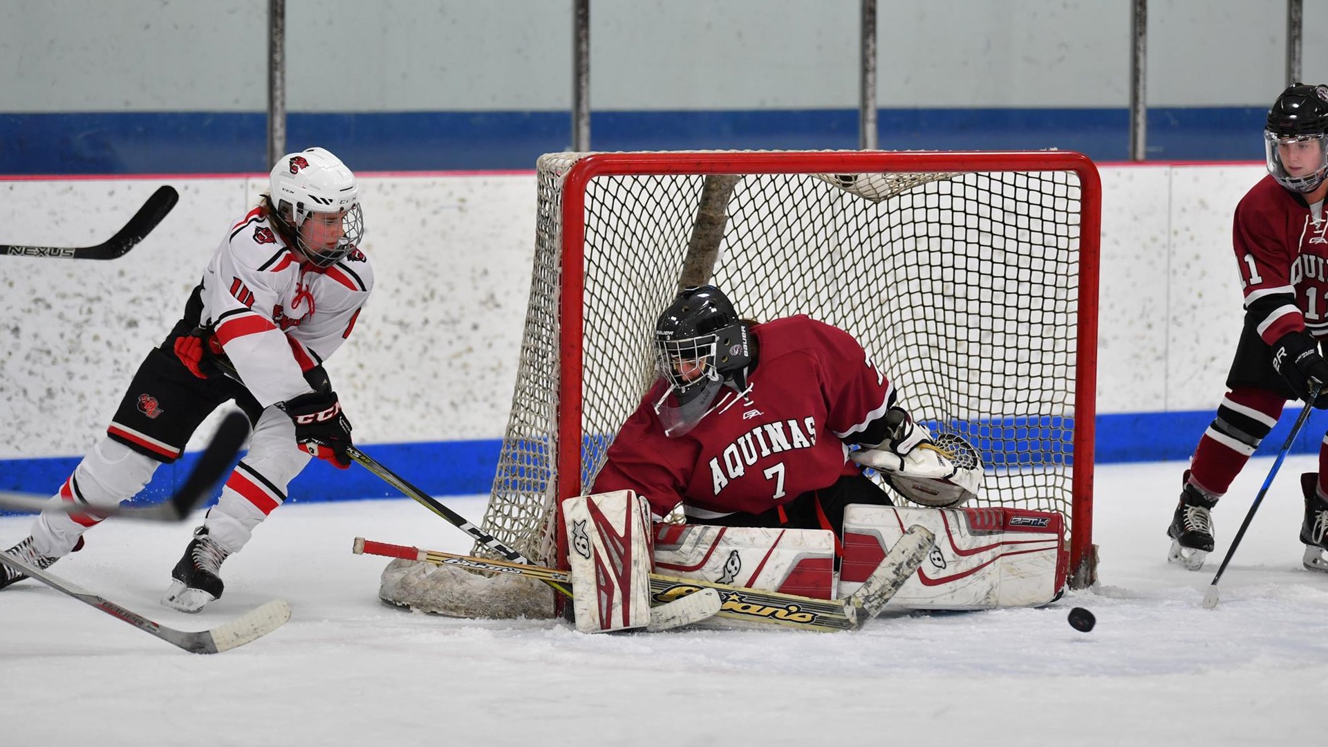 Ally Kennedy 202021 Women's Ice Hockey Aquinas College