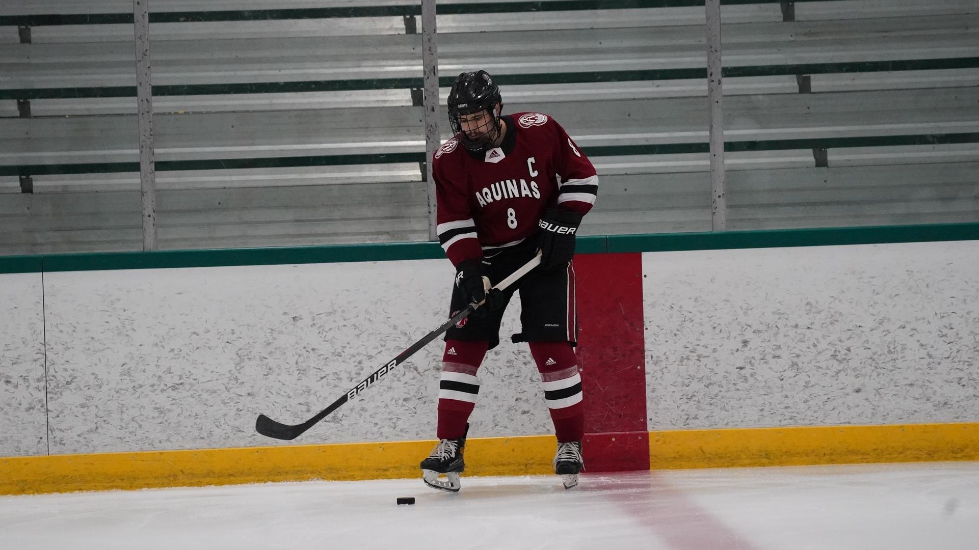 Mason Stewart 202223 Men's Ice Hockey Aquinas College