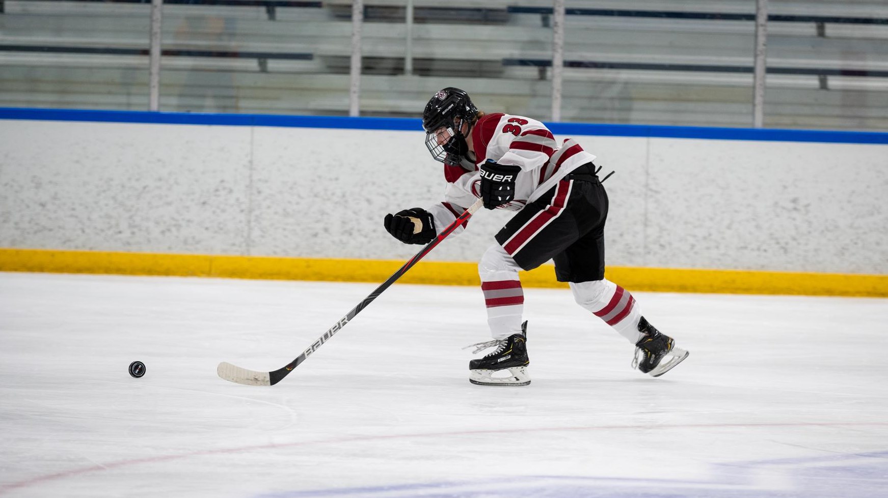 Alexandra Drevline 202122 Women's Ice Hockey Aquinas College