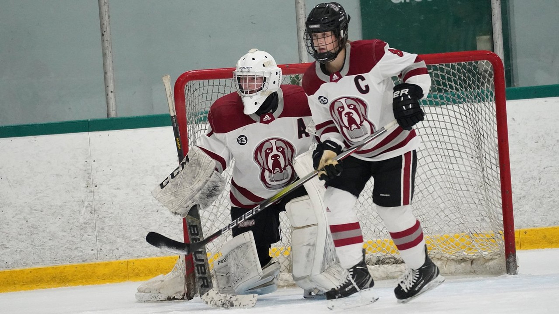 Kadynce Romijn 202324 Women's Ice Hockey Aquinas College