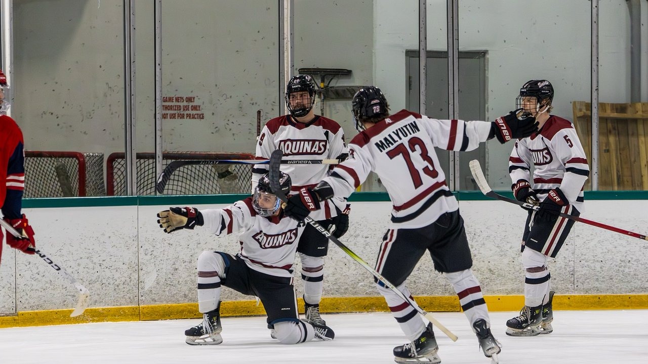 AQ D1 Men's Hockey drops game to CU