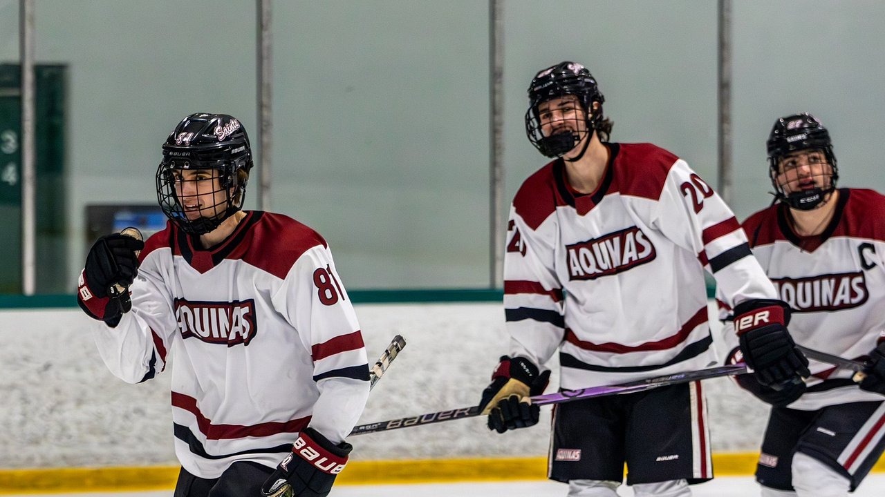 Saints drop rematch to Cardinals 7-6 on Sat