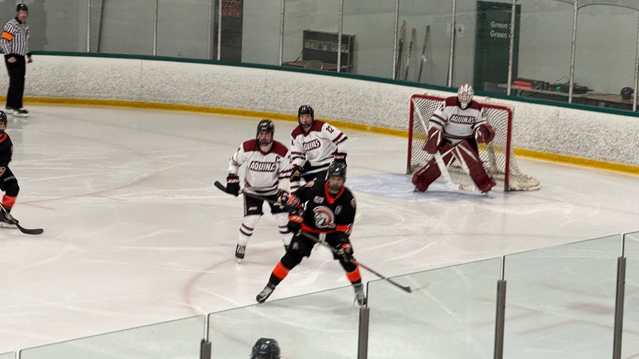 AQ Men's DI Hockey drops two to IT