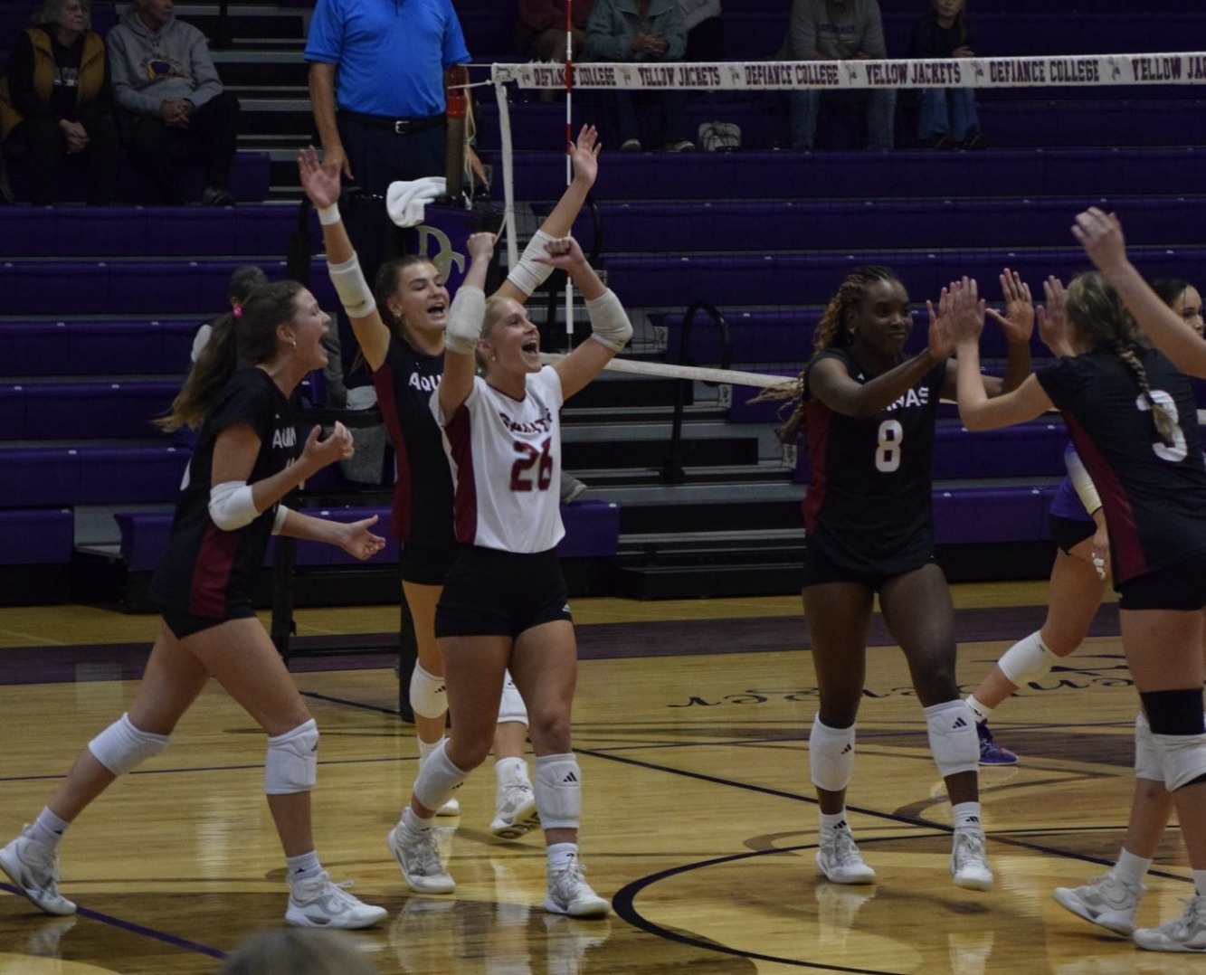 AQ WVB wins in 3