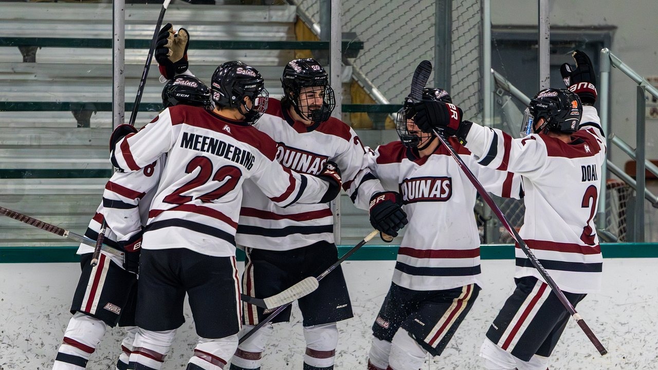 AQ DI M Hockey drop 2 to IT prior to Play-offs