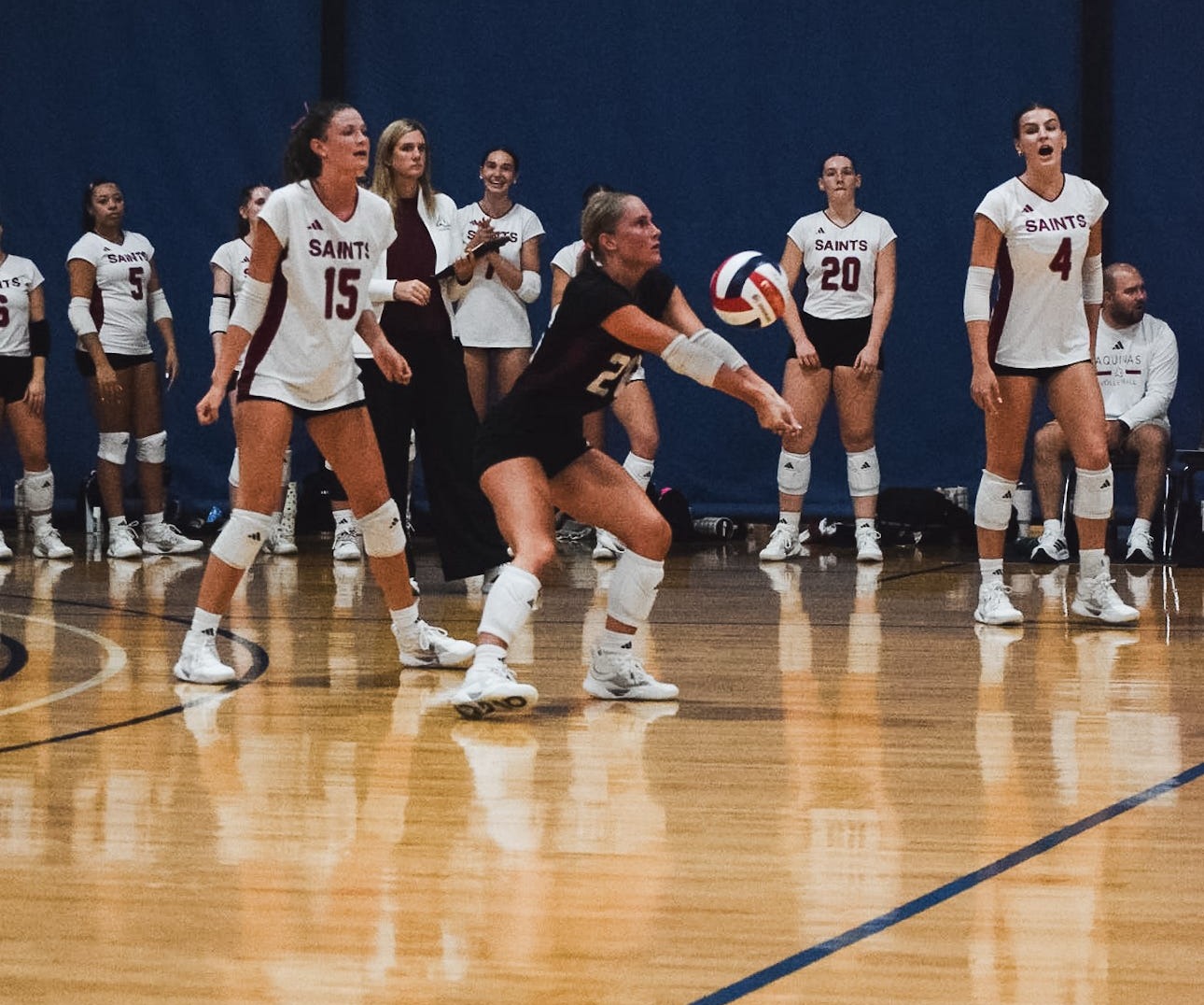 AQ WVB splits on Friday