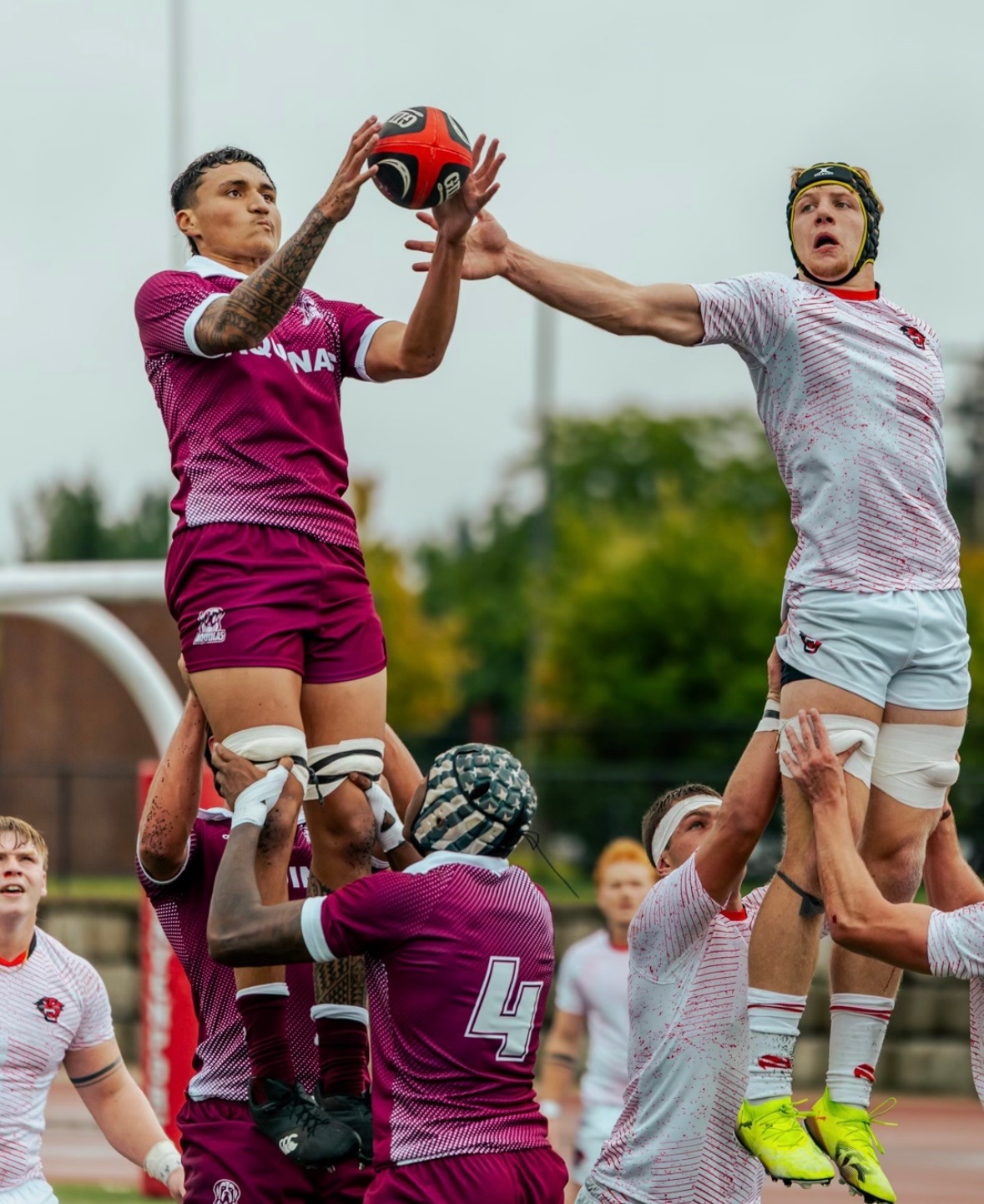 AQ M Rugby loses tight match to Davenport