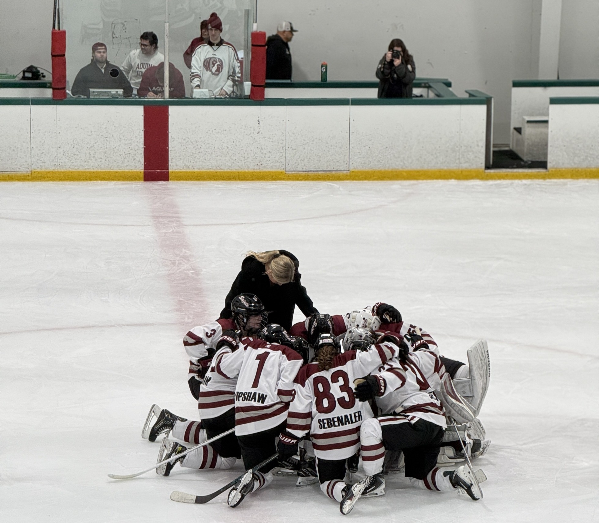 AQ W Hockey drop hard fought game with MSU